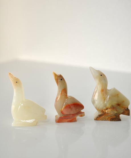 Waterfowl -S-