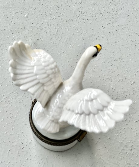 Schwan