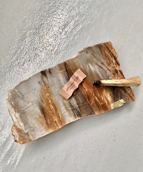 Petrified Wood
