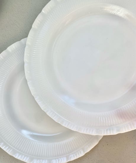 TORTE Dinner Plate