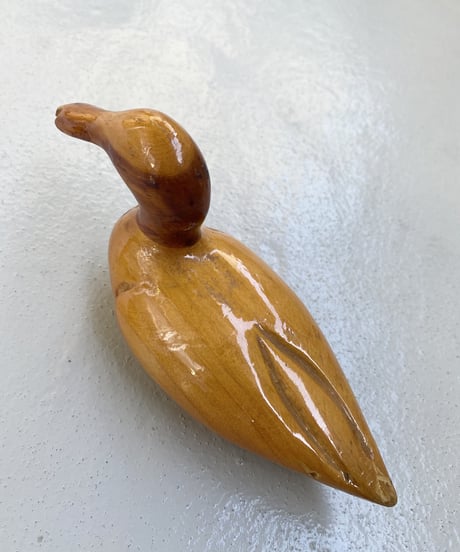 Anatra