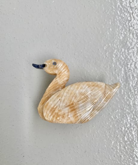 Schwan