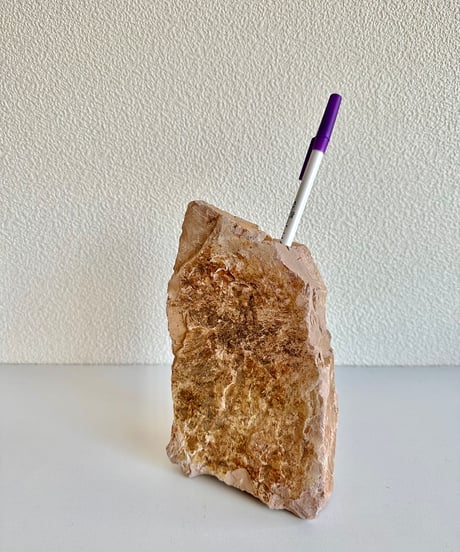 Beleben