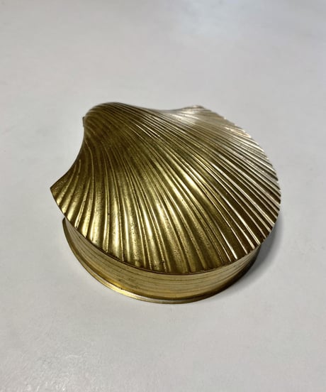 Muschel  -L-