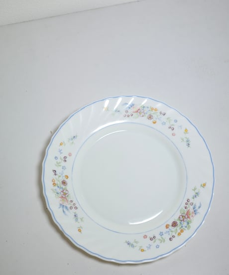 Dinner Plate