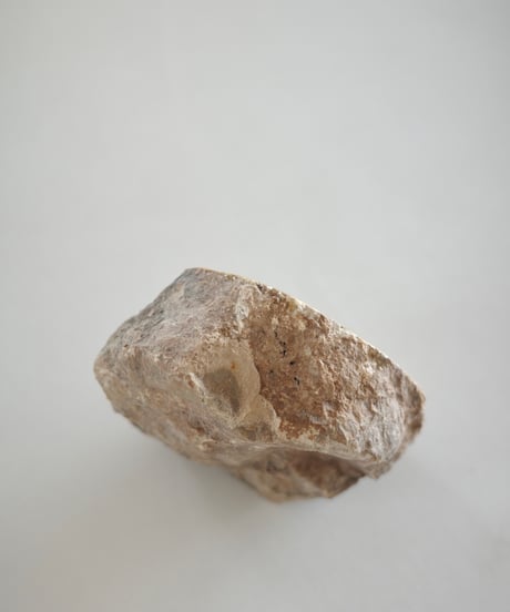 Petrified Wood