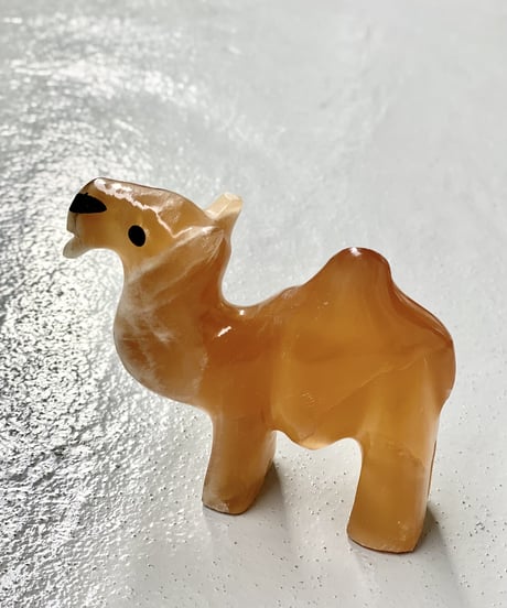 Camel
