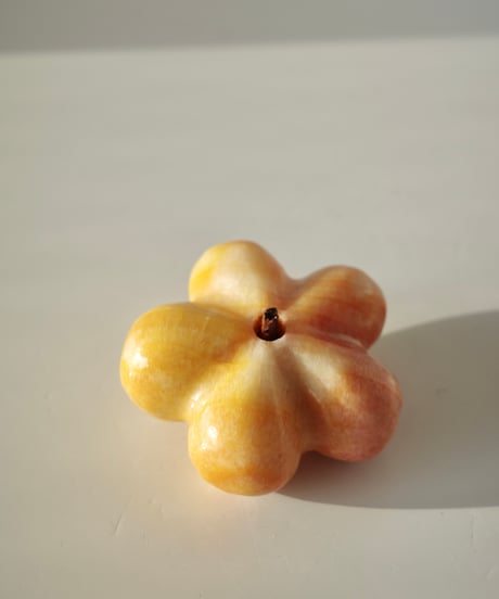 Pomona🍐🥥