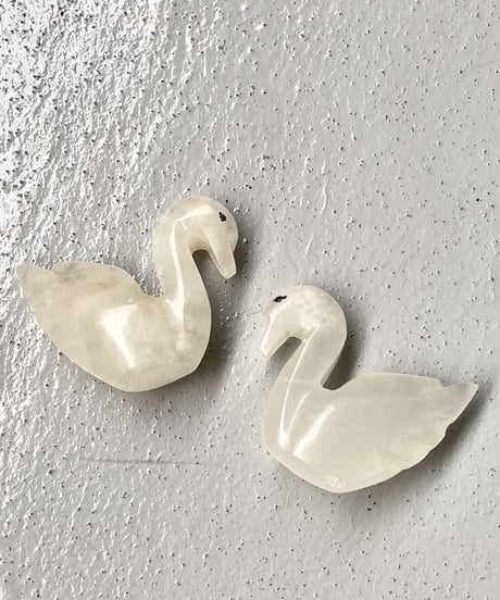 Schwan