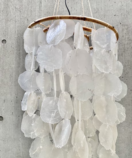 Shell Lamp