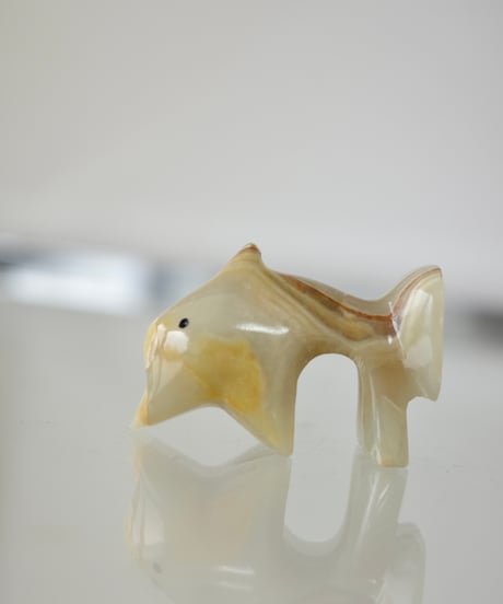 Dolphin