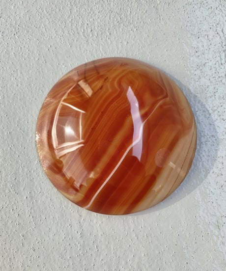 Dish