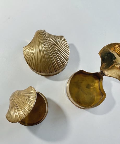 Muschel  -L-