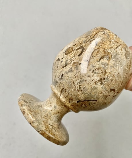 Fossil Glass