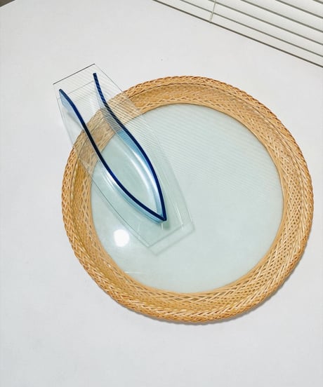 DS Tray