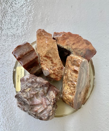 Sculpture (Petrified)