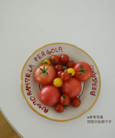Dinner Plate