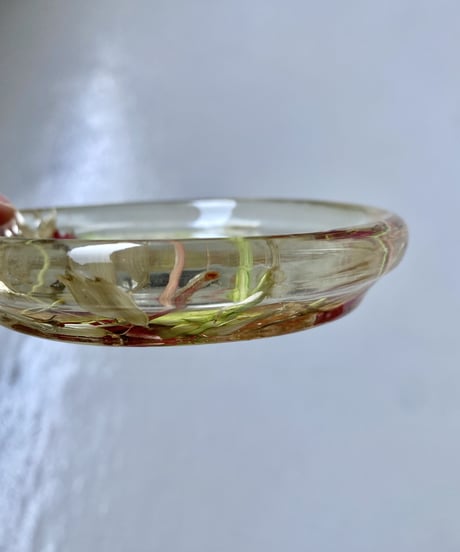 Resin Tray