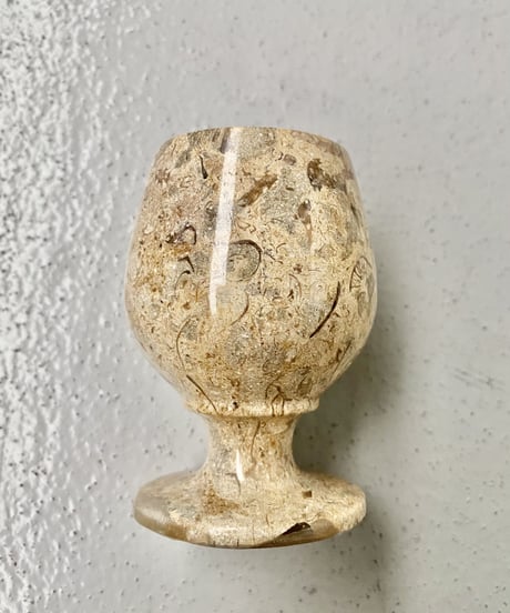Fossil Glass