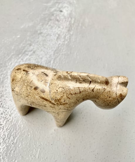 Fossil Stone
