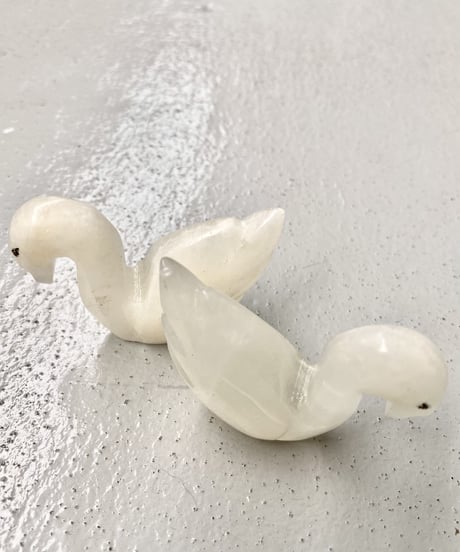 Schwan