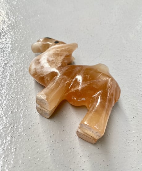 Camel