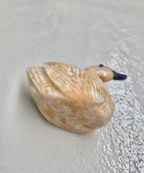 Schwan