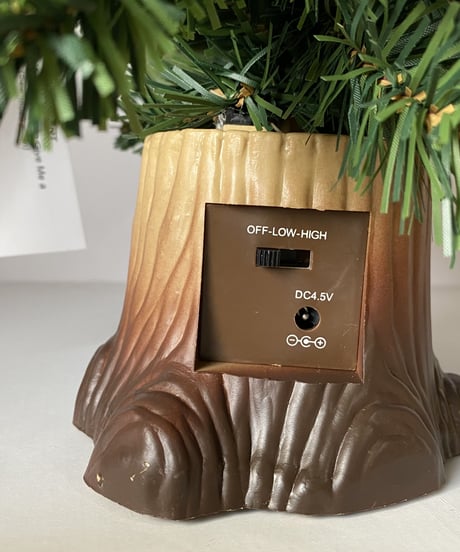 Douglas Fir  -L-