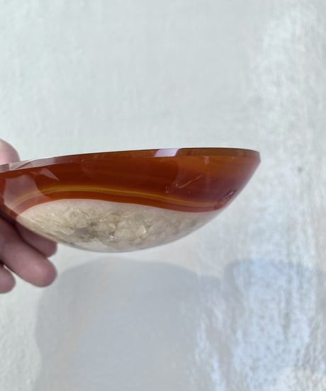 Dish