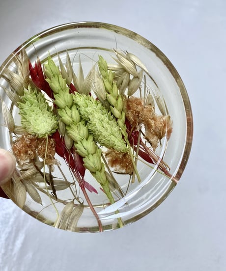 Resin Tray