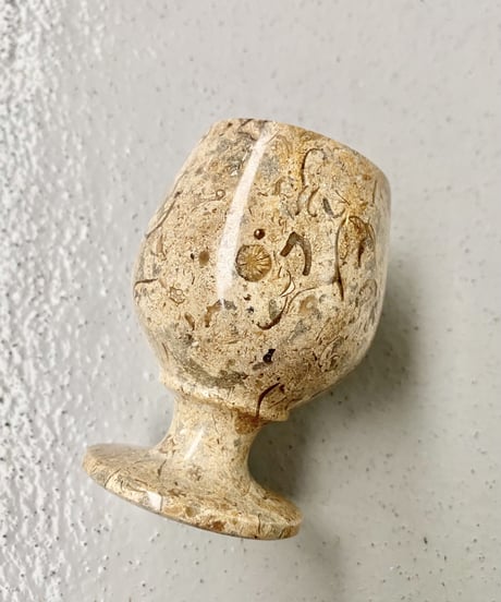 Fossil Glass