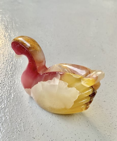 Schwan -M-