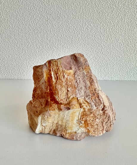 Beleben