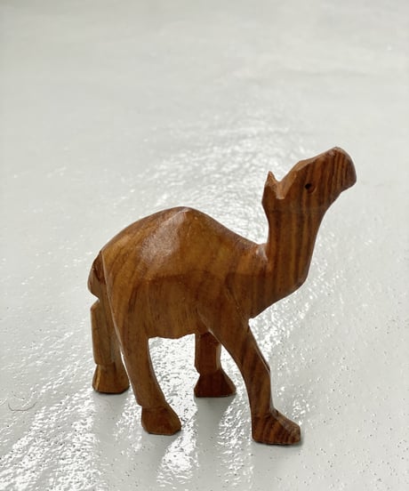Camel