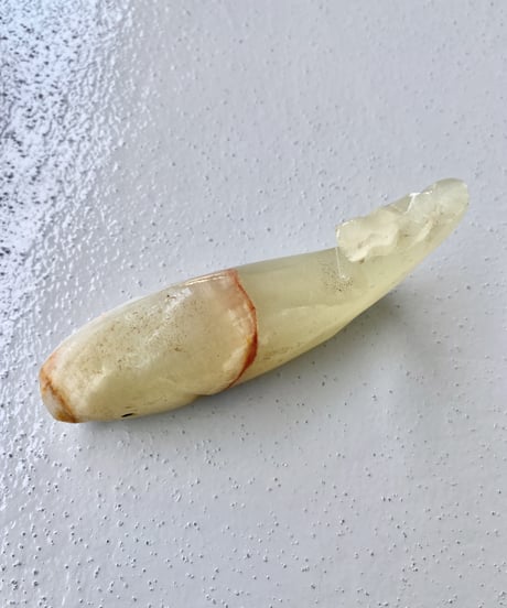 Whale