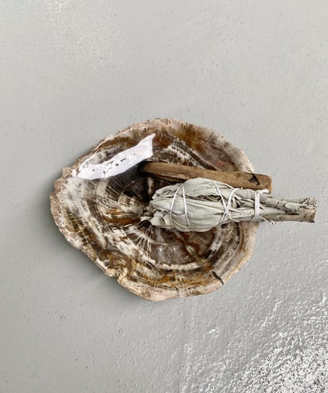 Petrified wood