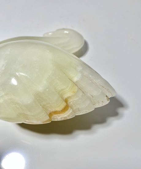 Schwan