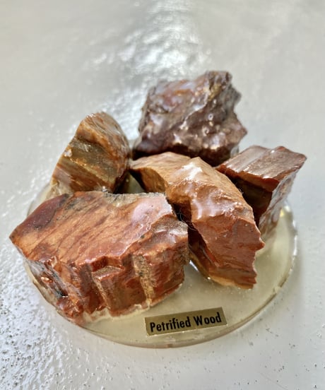 Sculpture (Petrified)