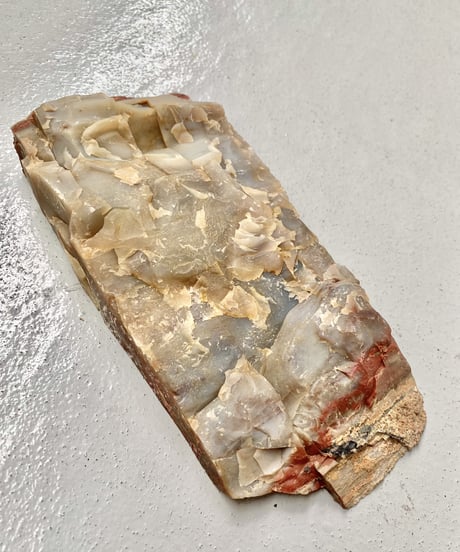 Petrified Wood