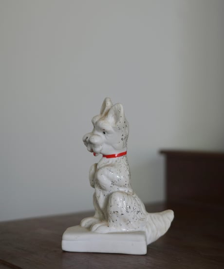 Puppy