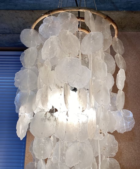 Shell Lamp