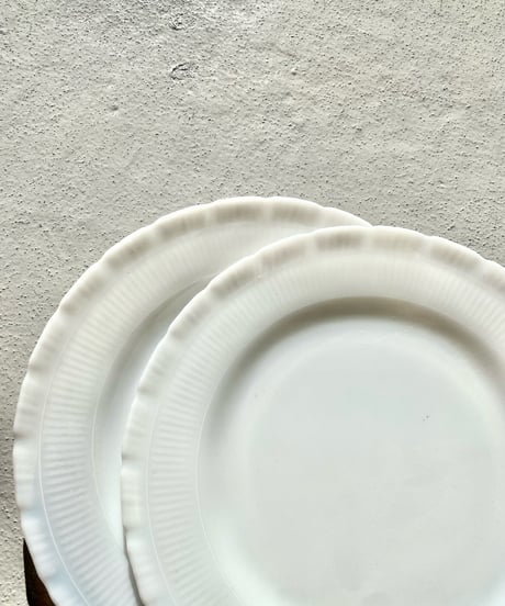 TORTE Dinner Plate