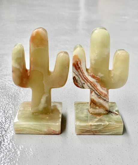 Cactus -M-