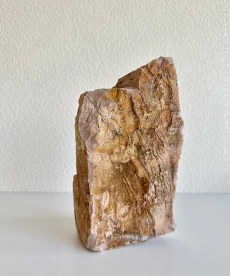 Beleben