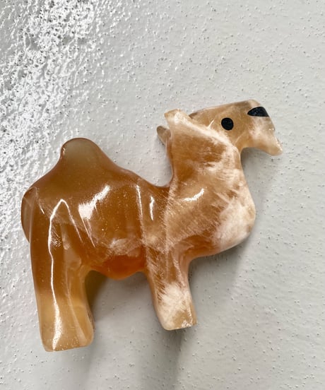 Camel