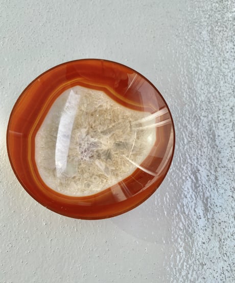Dish