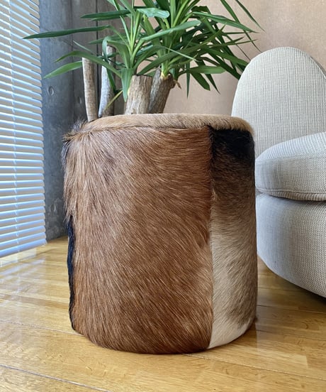 Stool