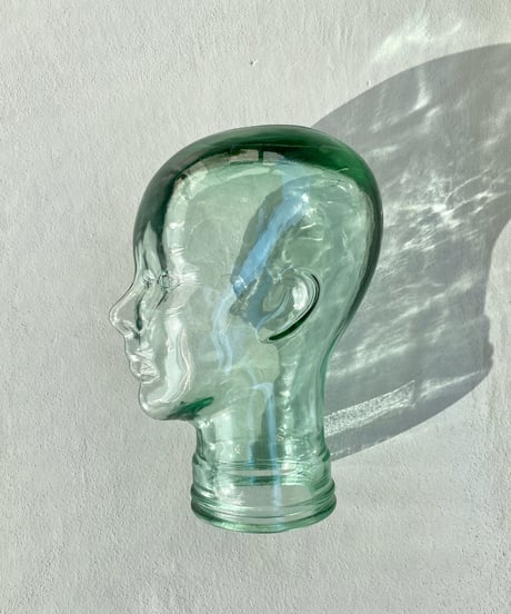 Head torso