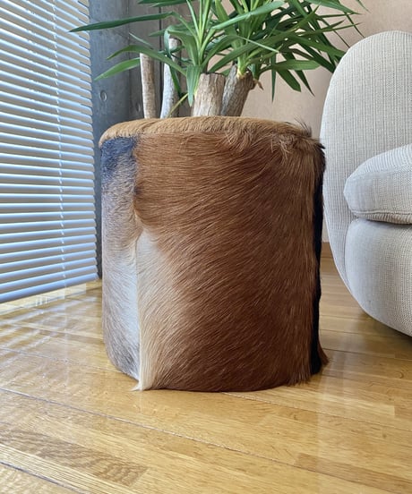 Stool