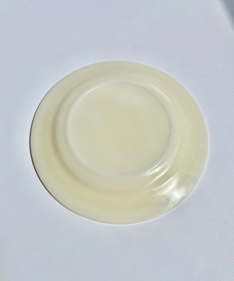 Dinner Plate
